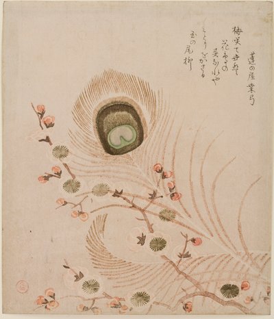 Plum branch and peacock feathers, mid to late 1810s by Kubo Shumman